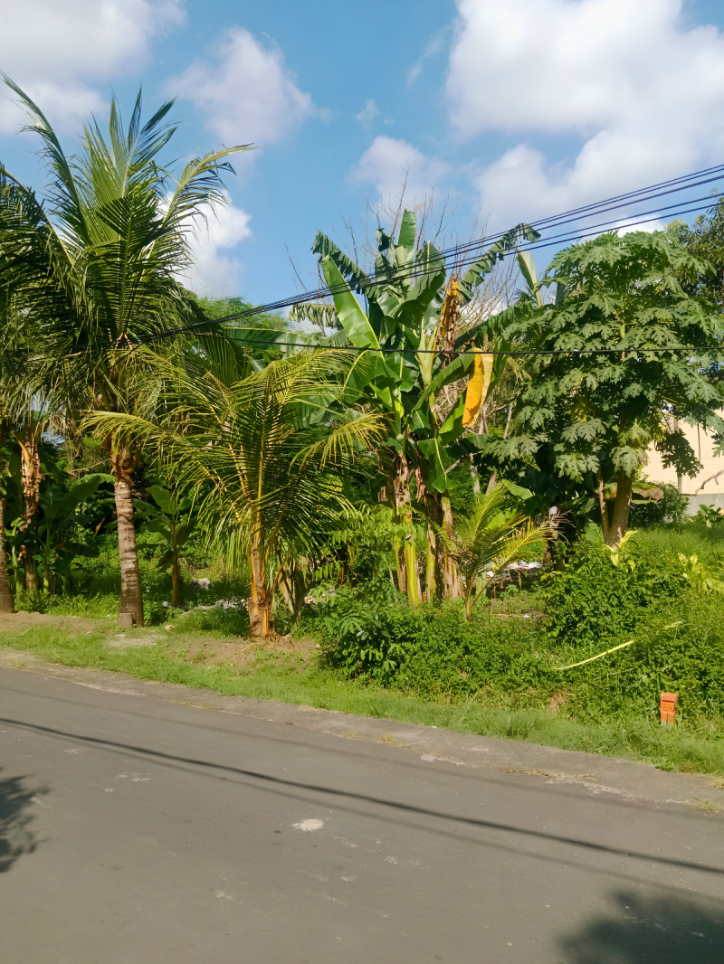 [FOR SALE] Tanah 2,11 Are Kaba-Kaba
