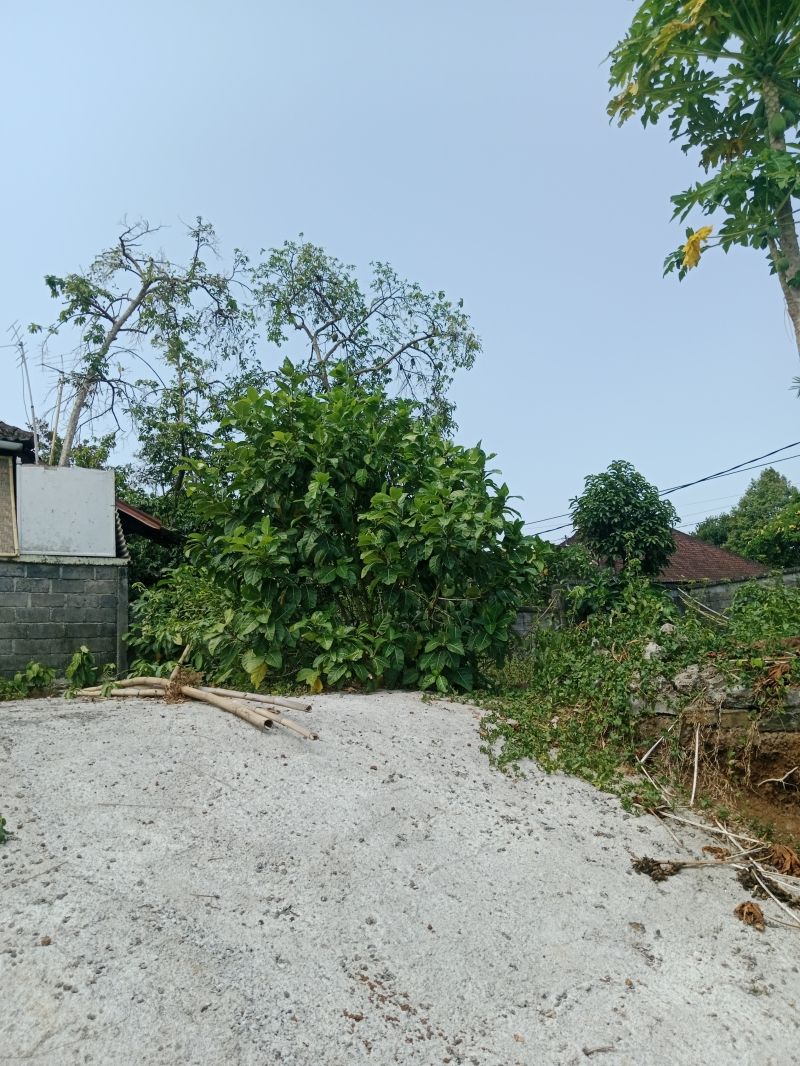 [LEASE] Tanah 1,7 Are, Sading, Mengwi
